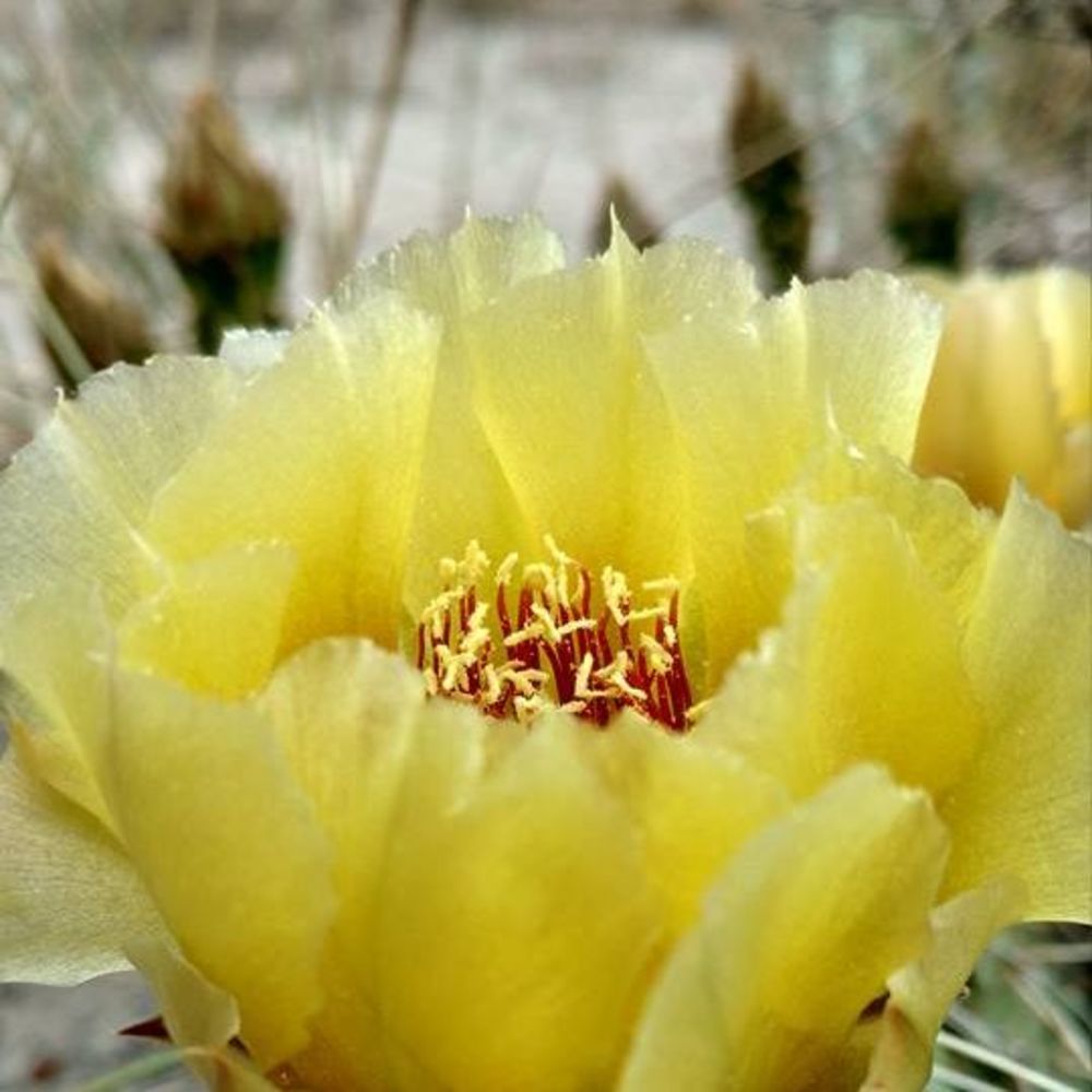 Meet your Posher, Jackieandjoe